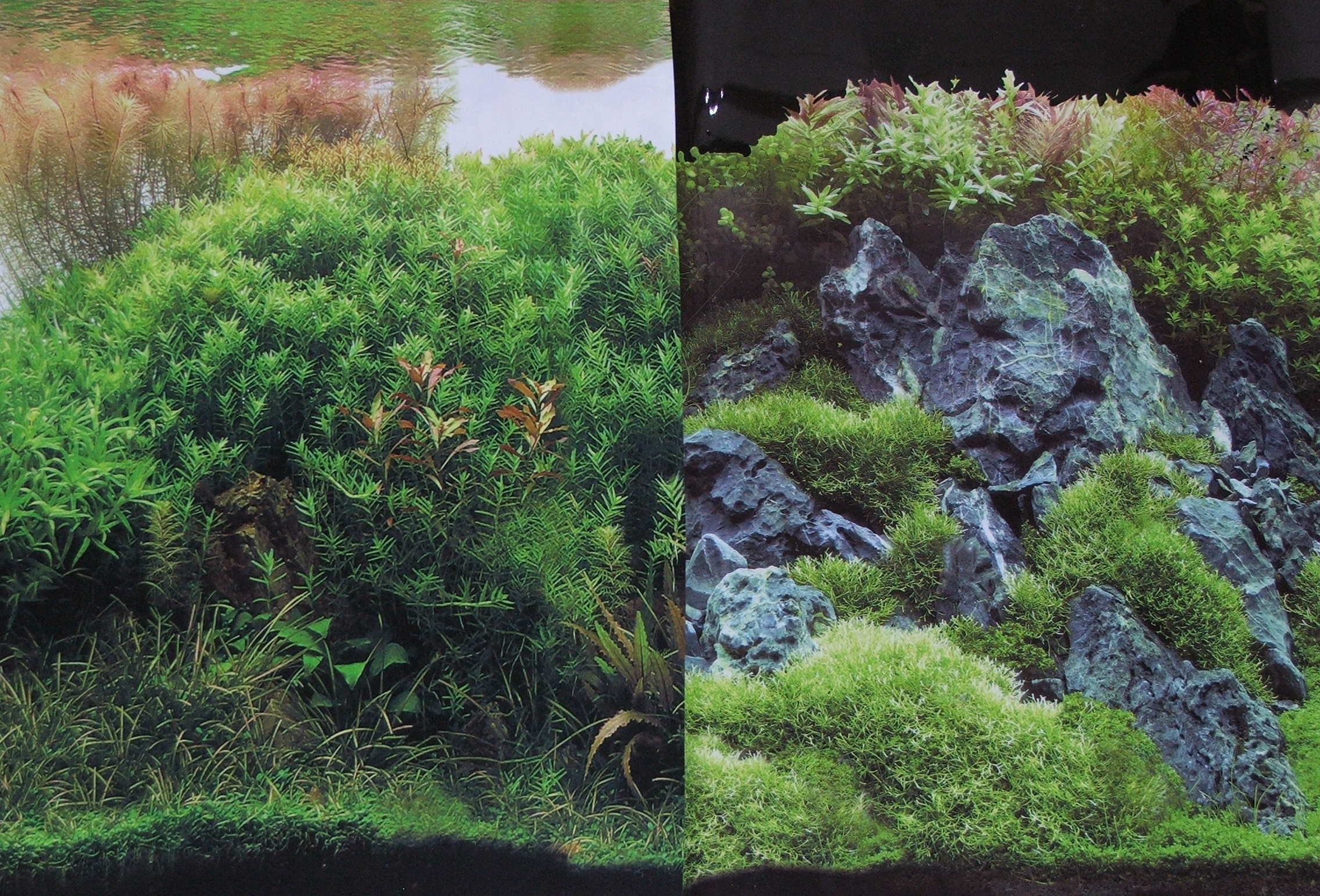 Rückwandfolie Planted River / Green Rocks 49,5 cm hoch